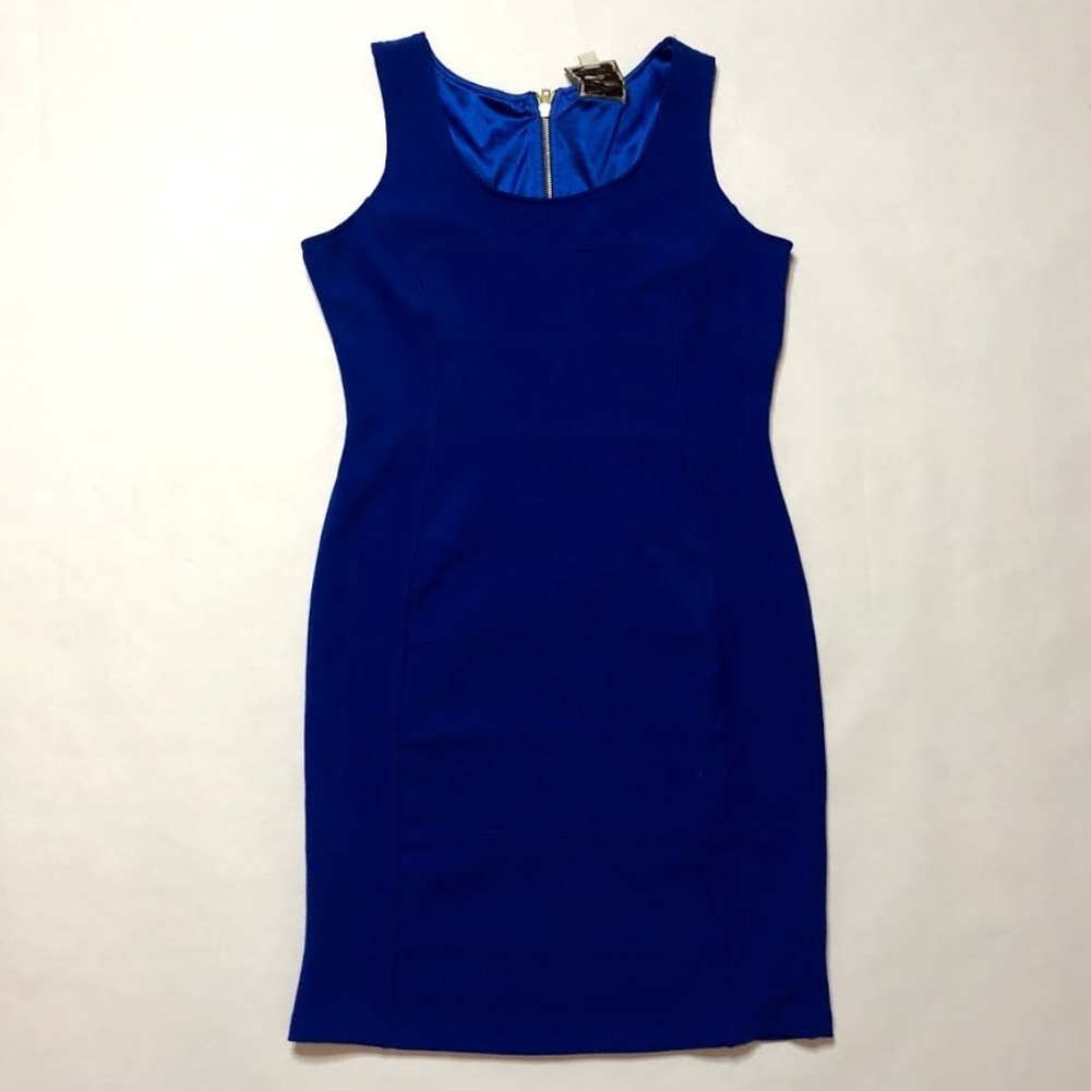Pink rose premium quality Women's Large Blue Dress